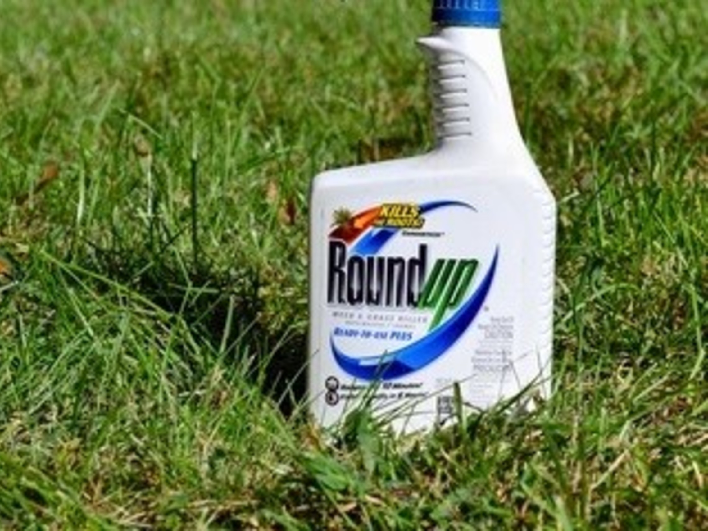 How Glyphosate Works